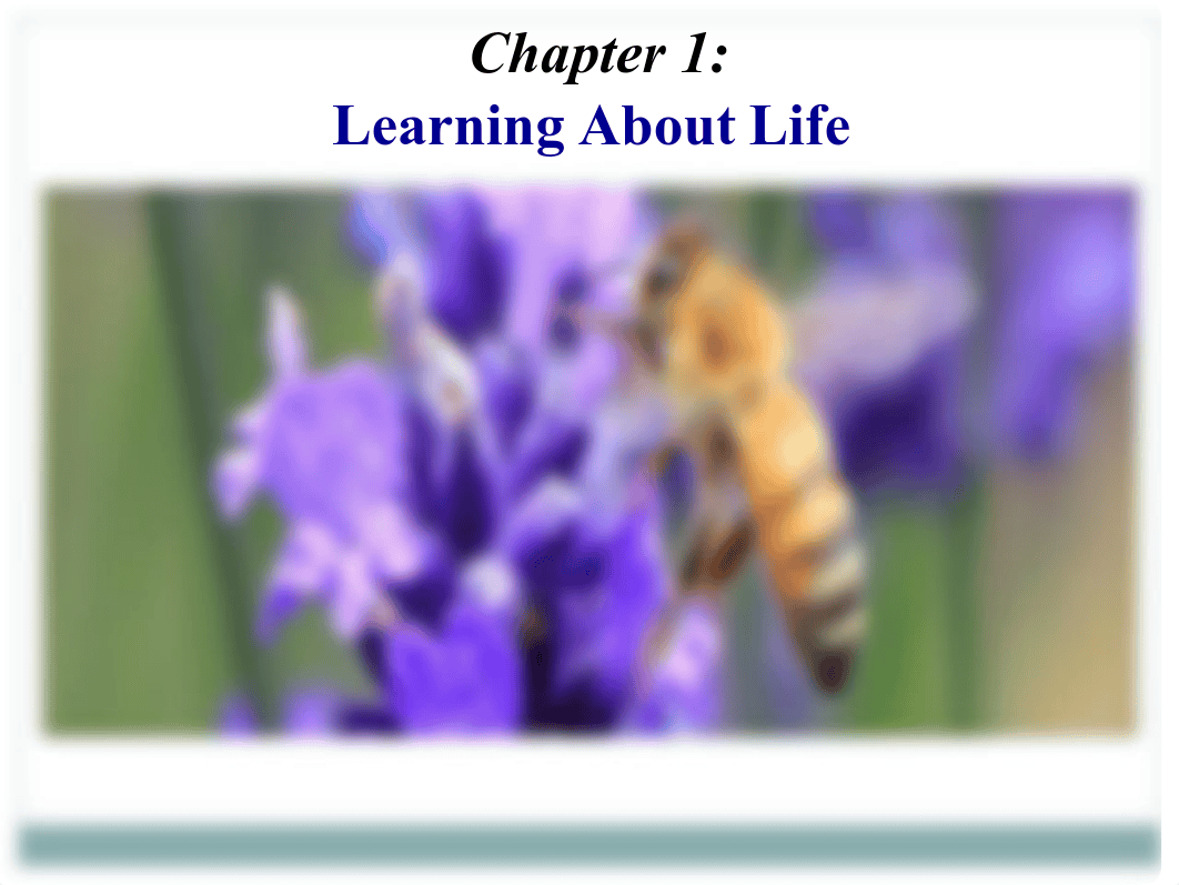 Chapter-1-Learning-about-Life.pdf_d7edw6mp2ns_page1