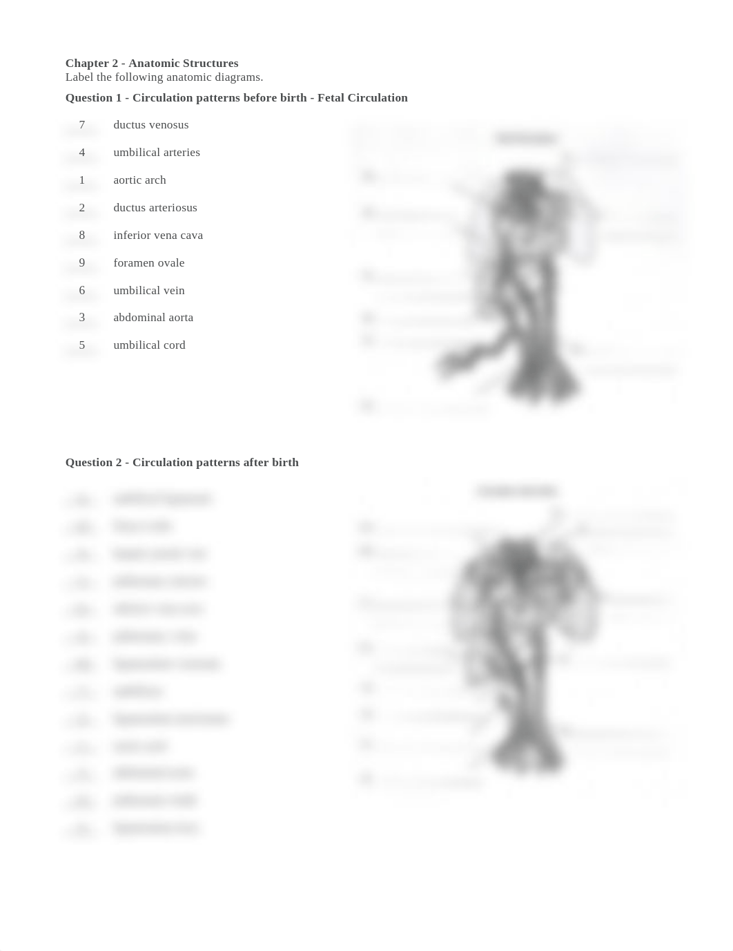 Essentials of Human Diseases and Conditions - Workbook - Chapter 2 - Anatomic Structures.docx_d7elvenpab2_page1