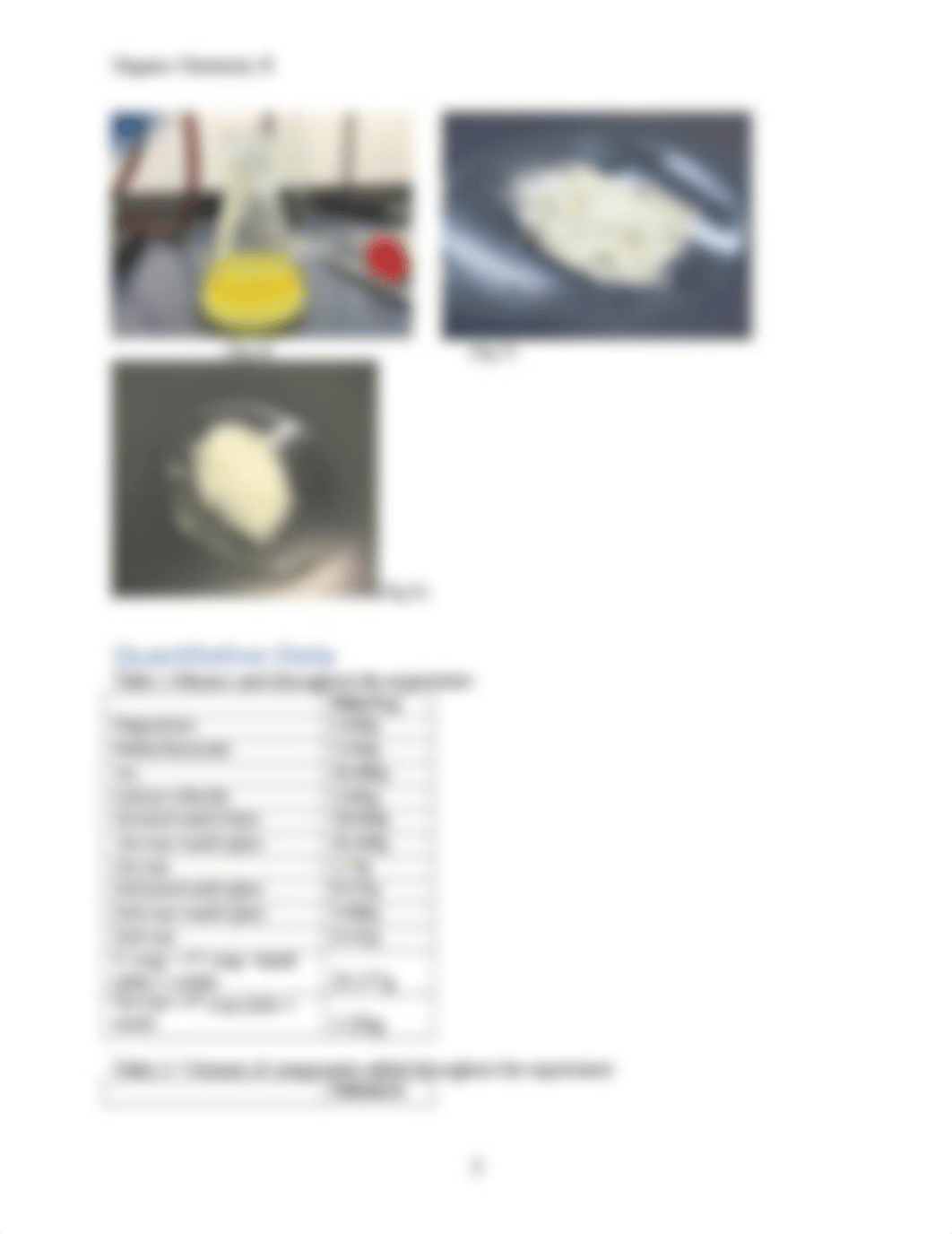 lab 01- Grignard Reaction.docx_d7ent4bc253_page3