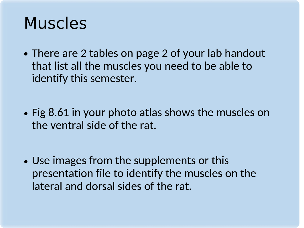 BIOL 1160 Lab 10 presentation Rat Dissection 2_d7eqvl9p8km_page5