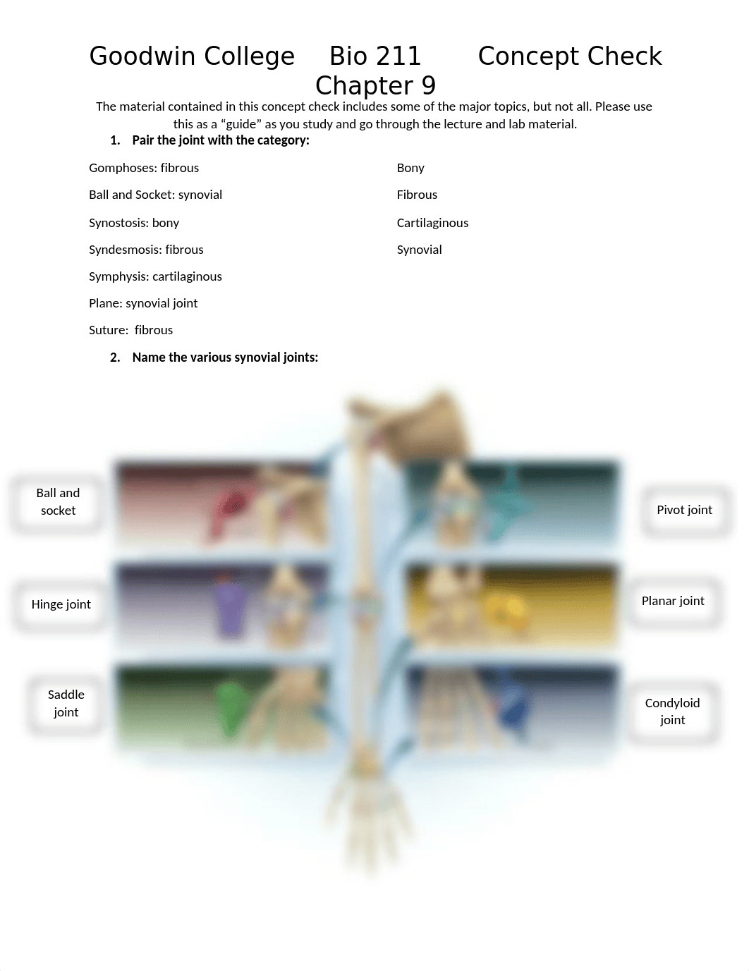 Chapter 9 Concept Check BIO211(1) (1).docx_d7esg1ppbau_page1