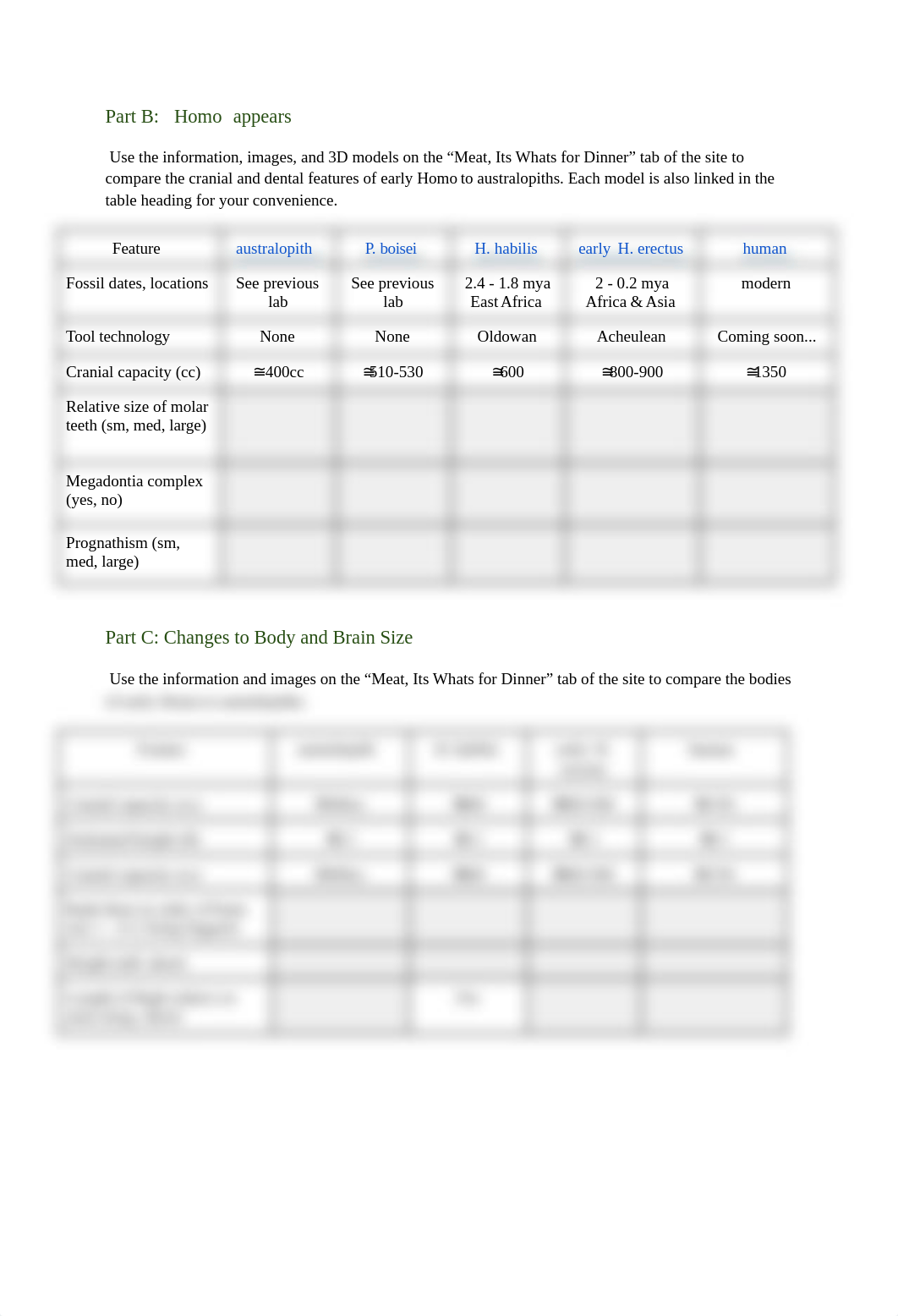 lab 22.pdf_d7f2utlimdp_page3