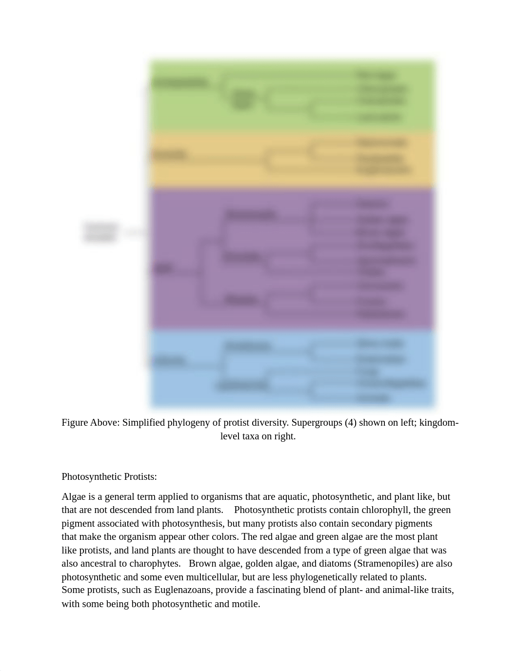 LAB 3B BIO 102.docx_d7fbt9745dr_page2