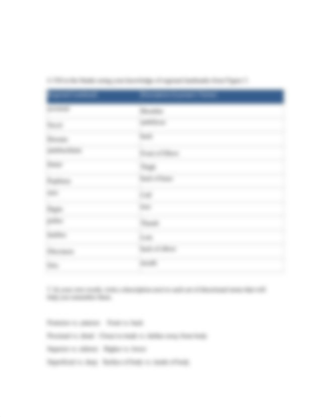 BIOL 213X Lab 3 - Anatomical Orientation_d7fhem2qw3m_page2