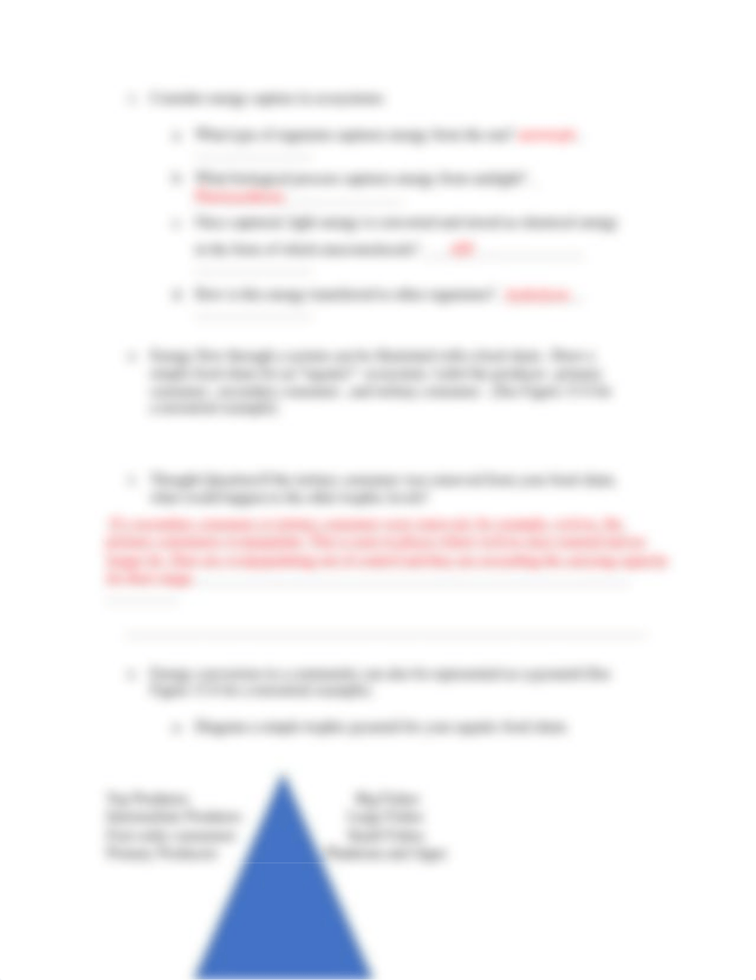 Worksheet 13.docx_d7fjfez9y5h_page2