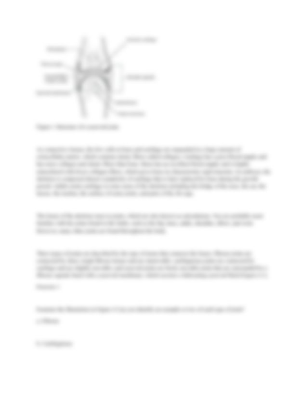 The Human Anatomy Lab (1).docx_d7fma9n8zj8_page3