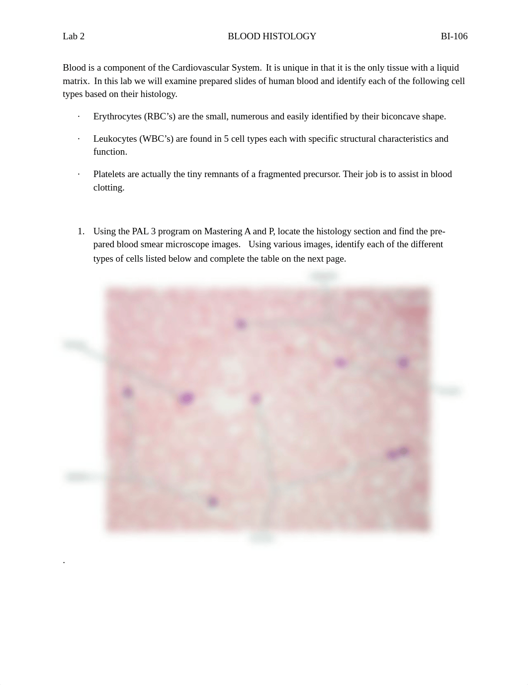 Lab 2 Blood Histology-LEBARON.docx_d7fmp612elm_page1