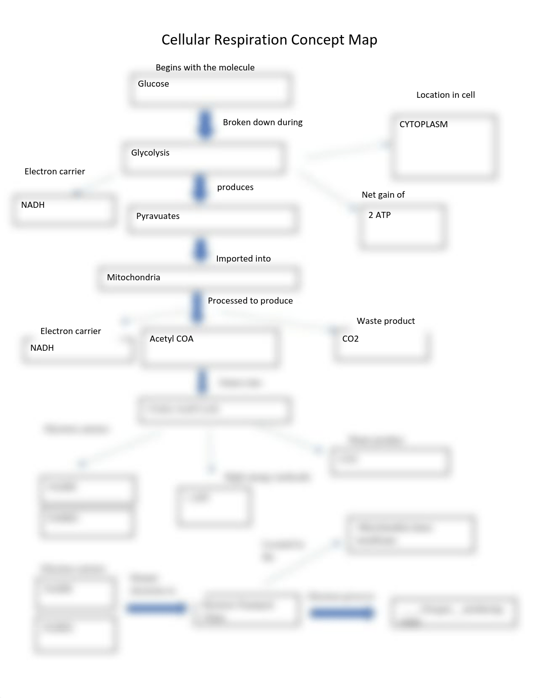 Cellular Respiration Concept Map Fall 2021.pdf_d7fxuitixb3_page1