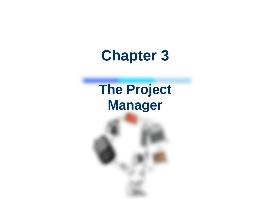 Ch03_The Project Manager.pdf_d7fyhoove2h_page1