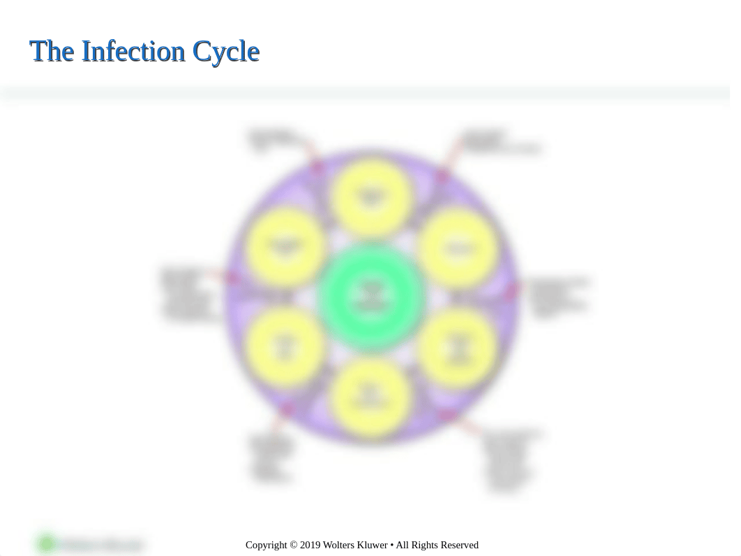 Chapter24.ppt_d7fz3pljpll_page3