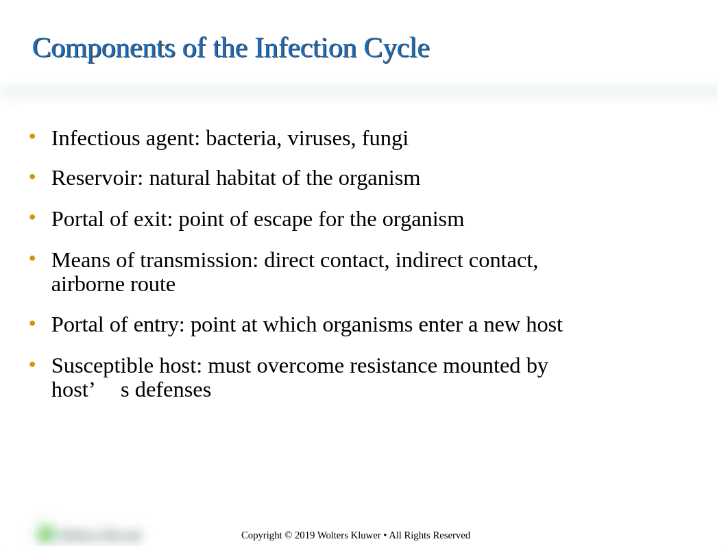 Chapter24.ppt_d7fz3pljpll_page2