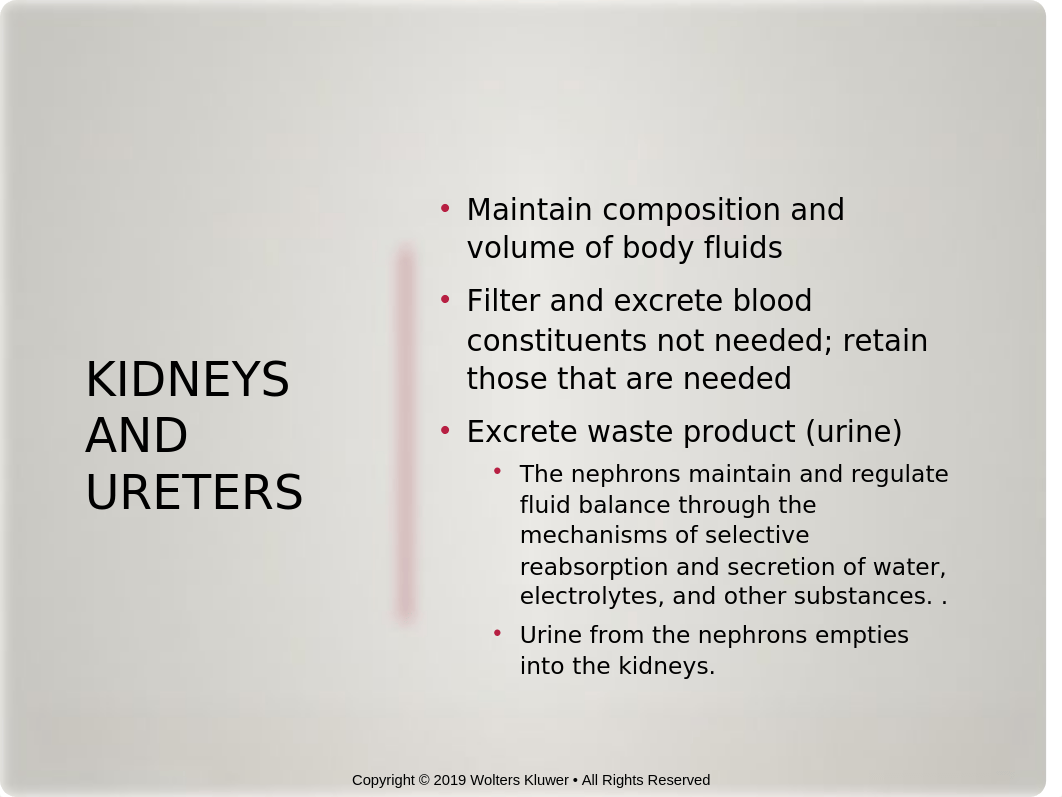 Chapter 37 Urinary Elimination.pptx_d7gcw2mp8bl_page4