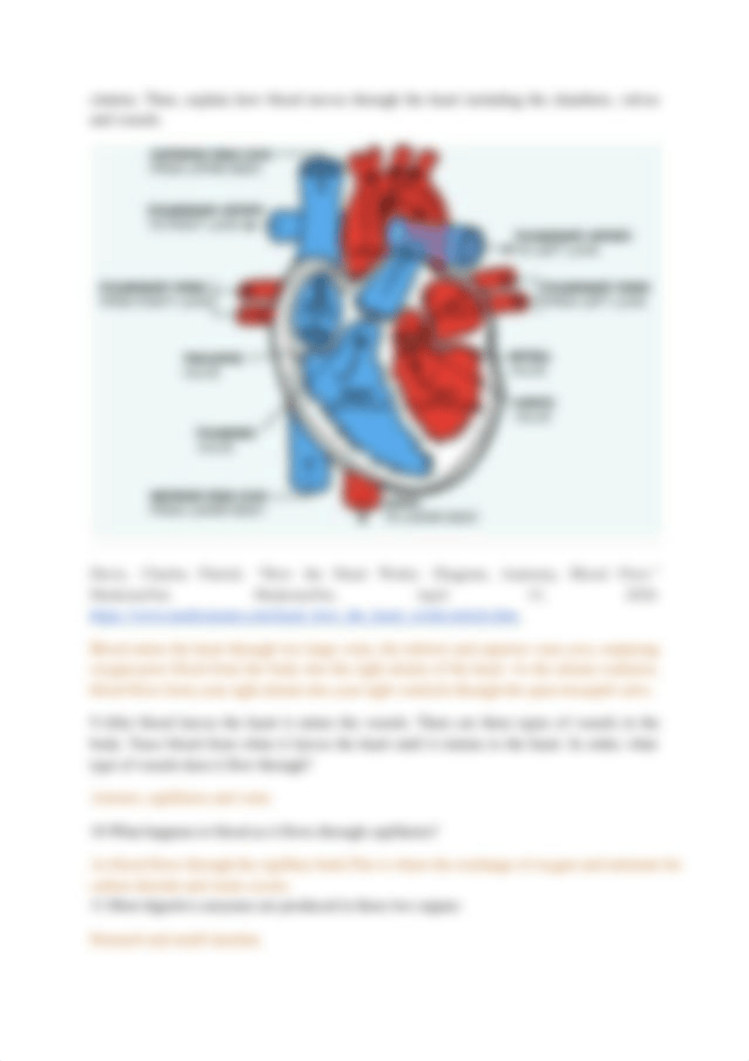 worksheet 2-2.pdf_d7ghab4exk4_page2