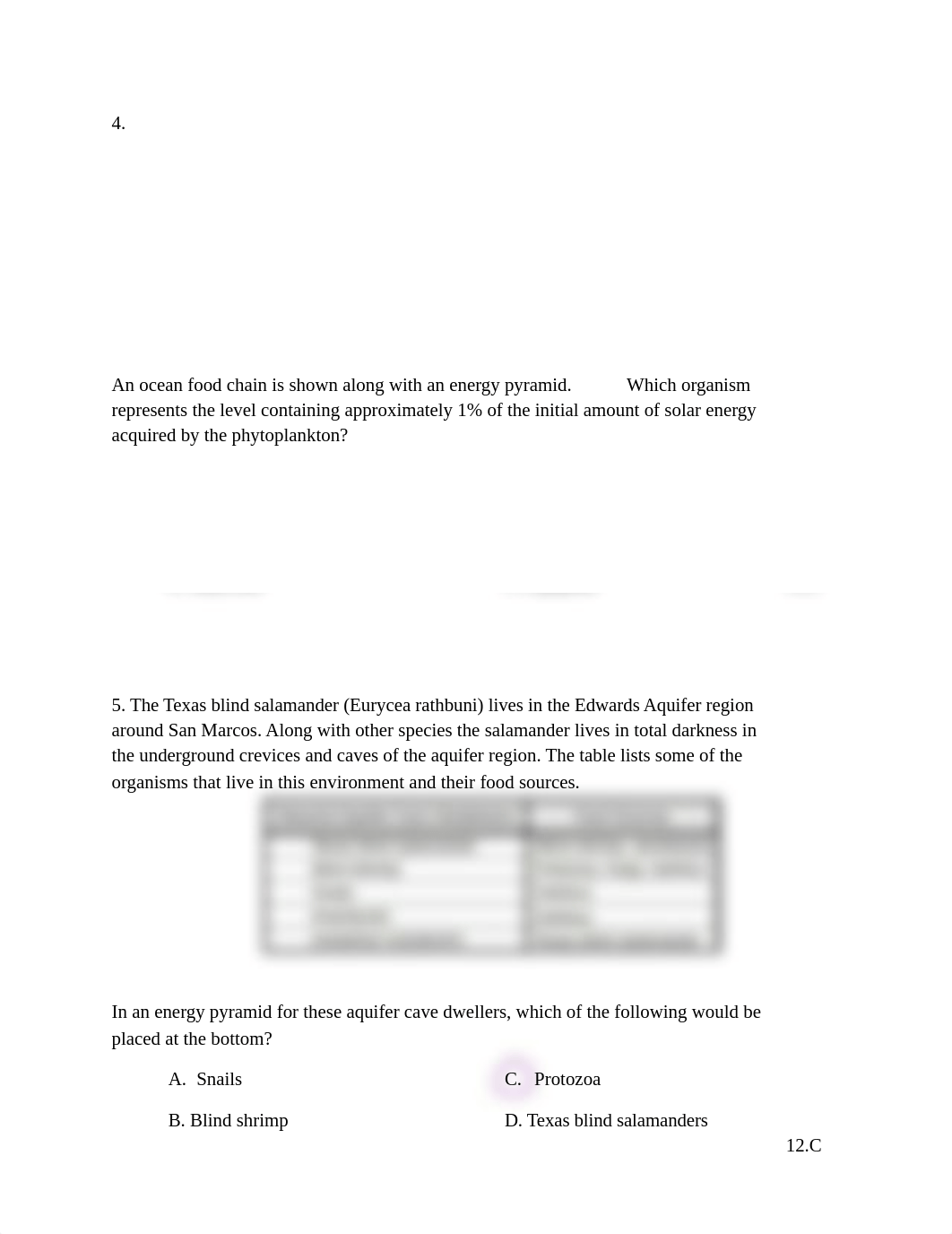 Esperance_-_Copy_of_Skill_Test_5_2_.pdf_d7gydp6py2n_page2