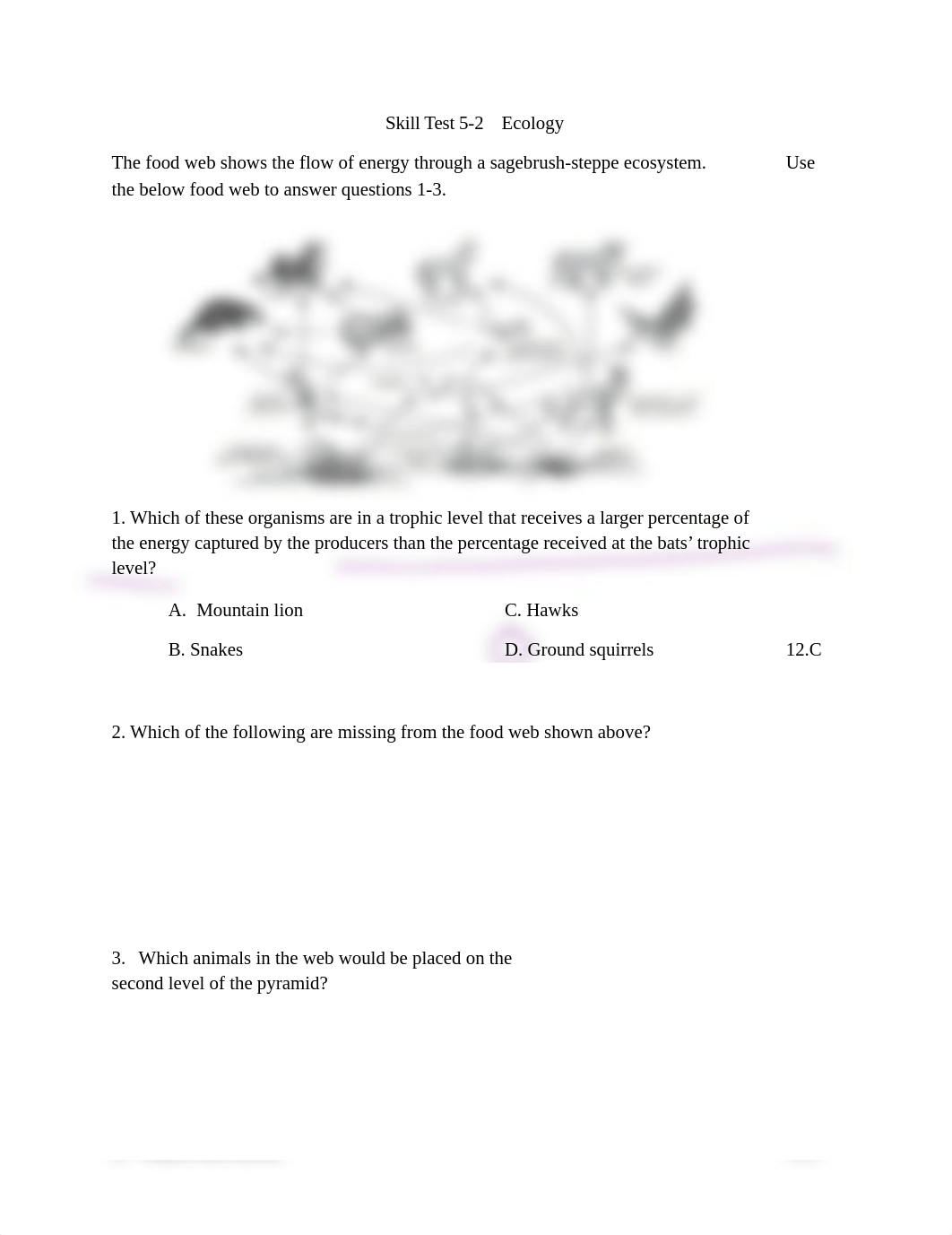 Esperance_-_Copy_of_Skill_Test_5_2_.pdf_d7gydp6py2n_page1