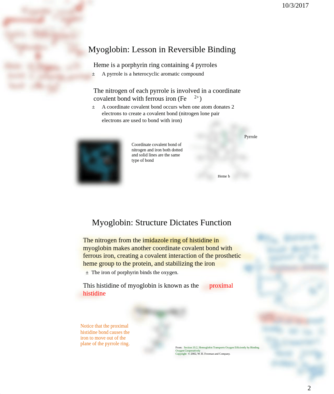 Unit #3 - Protein Function NOTES.pdf_d7gz88ayse3_page2