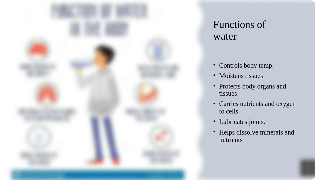 Water Balance.pptx_d7h28rshzo3_page2