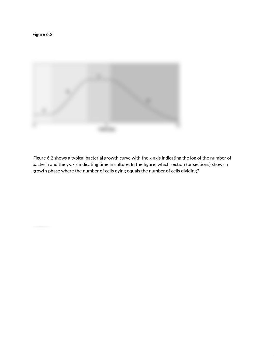 Quiz 5.docx_d7h2igzuzyk_page1