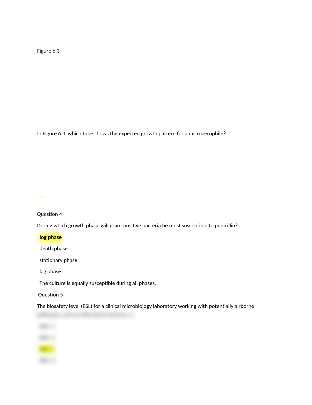 Quiz 5.docx_d7h2igzuzyk_page3