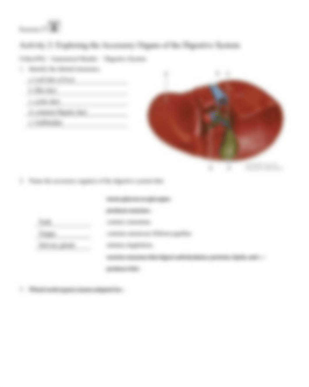 13. Unit 13 laboratory exercise 28-1.docx_d7h3qotx792_page3