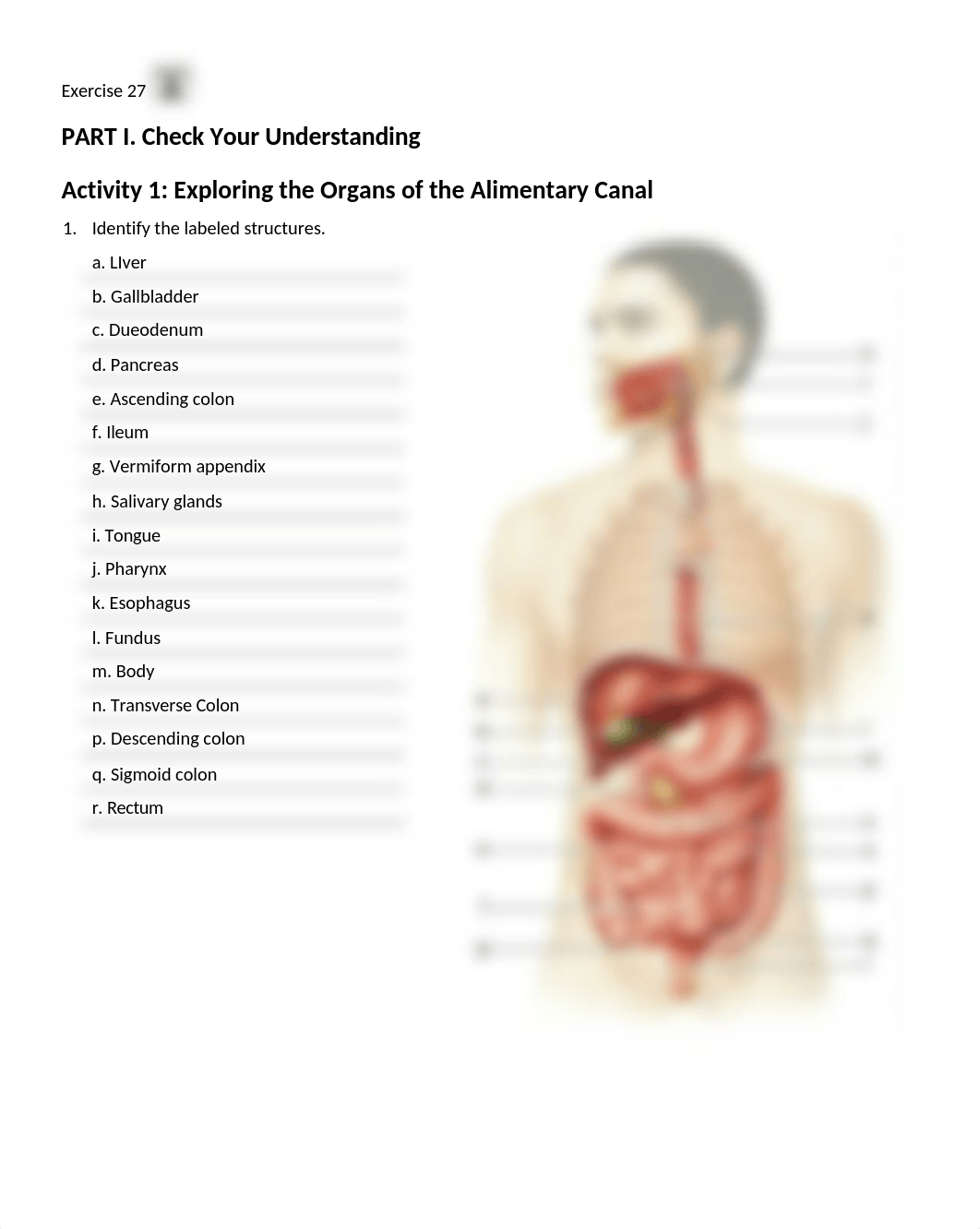 13. Unit 13 laboratory exercise 28-1.docx_d7h3qotx792_page1