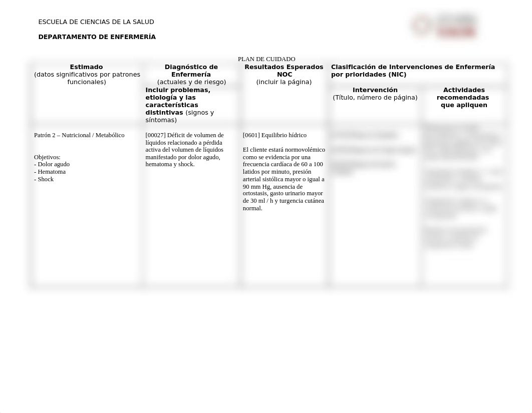 PLAN DE CUIDADO CHOQUE HIPOVOLEMICO.doc_d7h5hib3wzj_page1