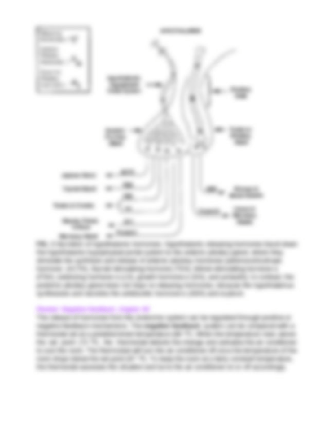 Copy of Copy of endocrine_lab_20.docx_d7hd8wmrggs_page3