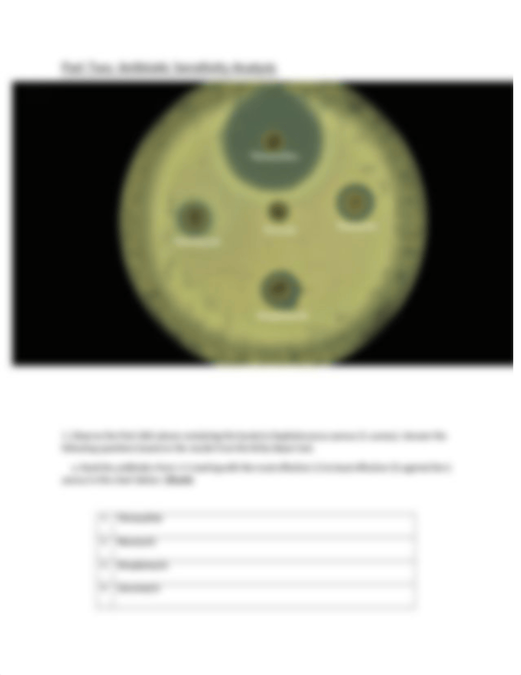 Bacteria Lab Worksheet DONE.docx_d7hhmv4nama_page3