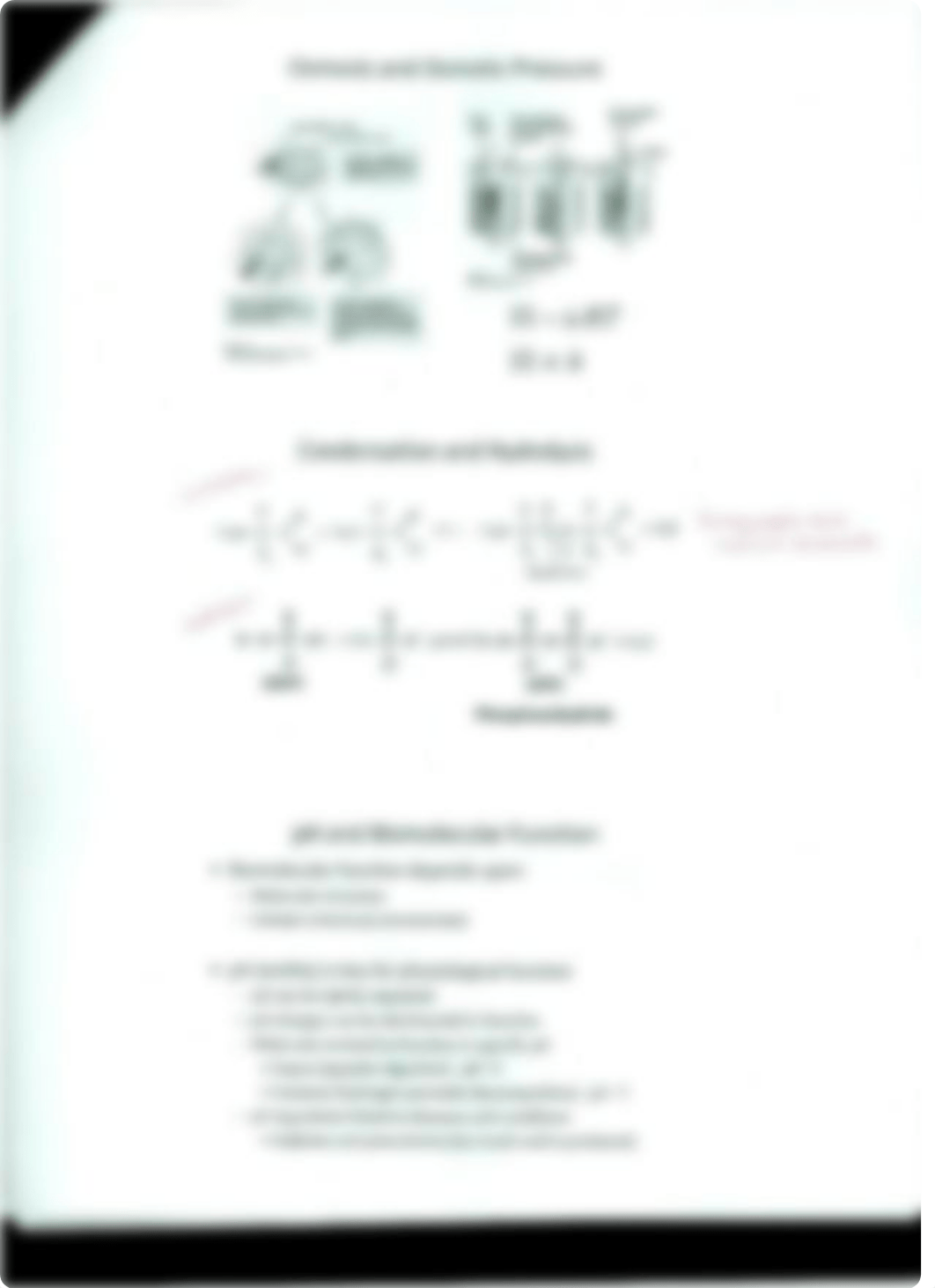 Water, pH, Buffers, and Biochemistry_d7hjay87450_page5