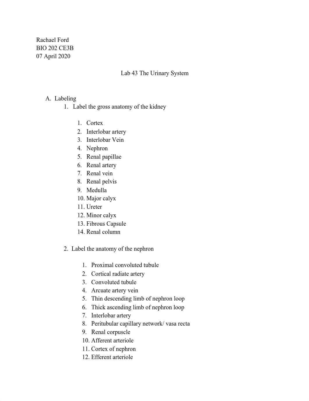 Lab 43 The Urinary System.pdf_d7hprpqqxmb_page1