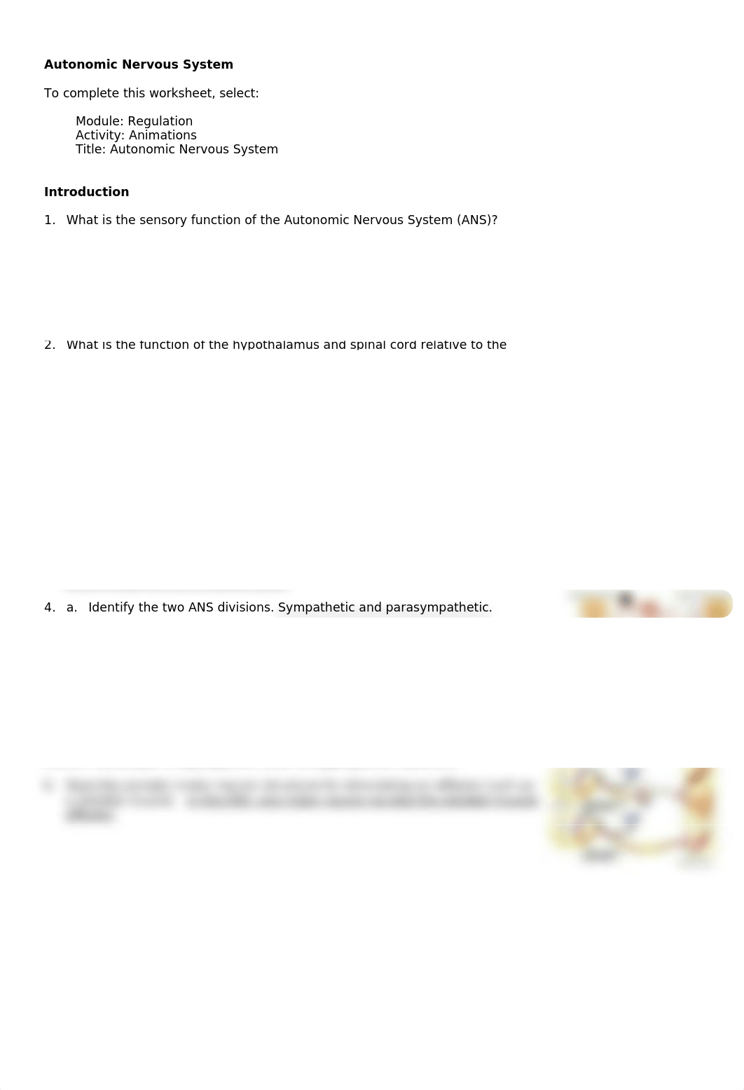anim_autonomic_nervous_system_worksheet w6.doc_d7hri84tkfk_page1