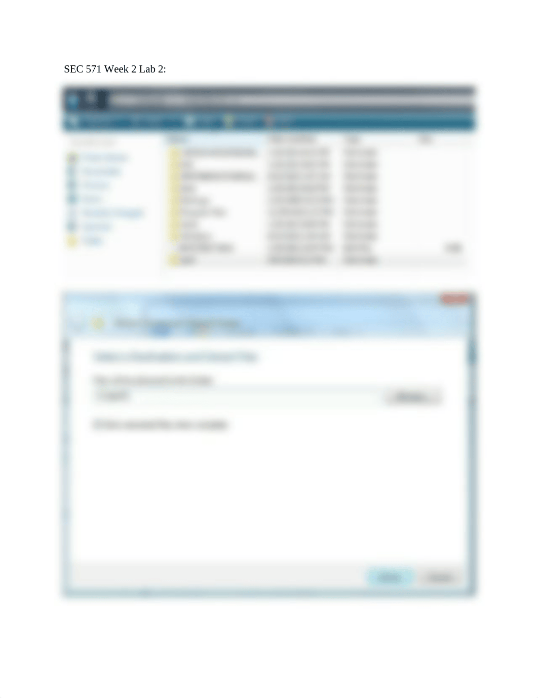 SEC 571 Week 2 Lab 2.docx_d7i7yfkpwdk_page1