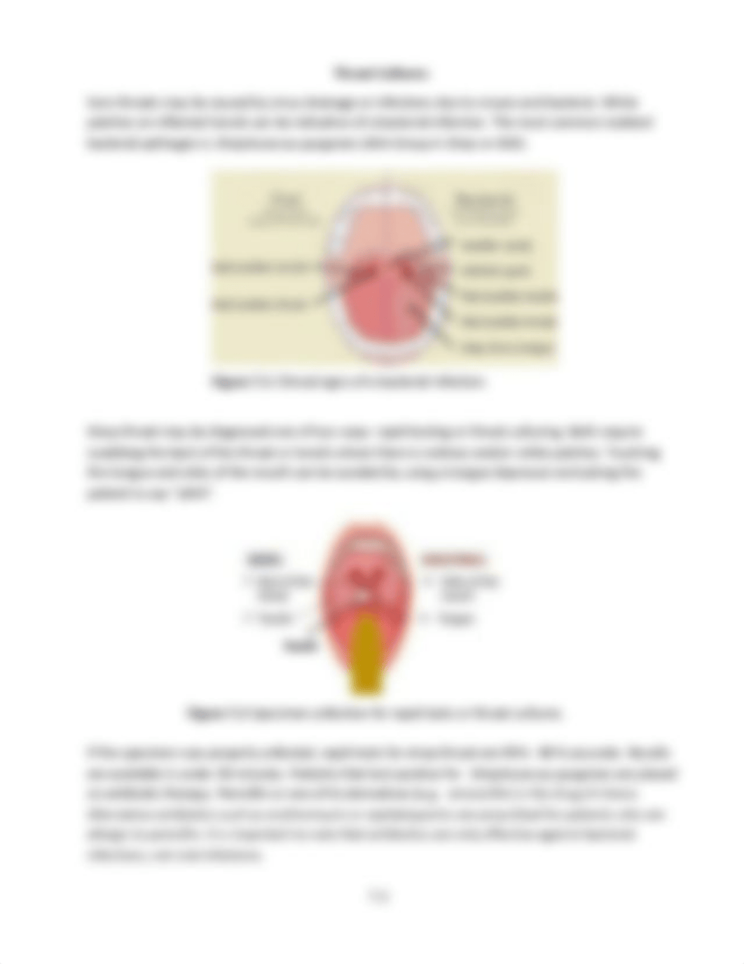 Lab 07 Throat & Urine Cultures (1).pdf_d7i7z3zxgyi_page2