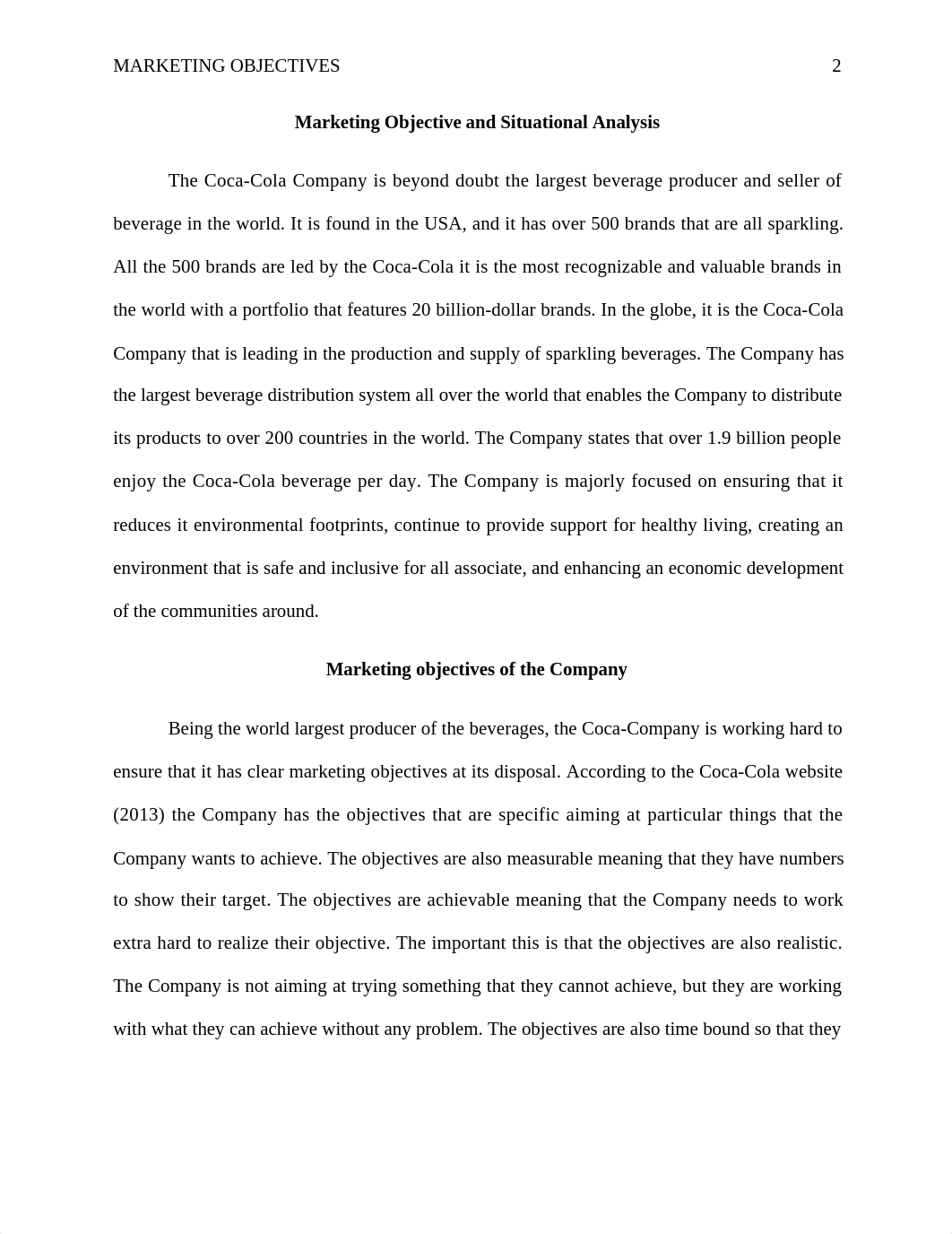 Situation Analysis in Business_d7id5hvw89g_page2