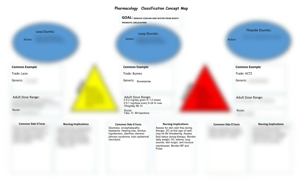 1diuretic concept map completed_d7ip26fdoer_page1