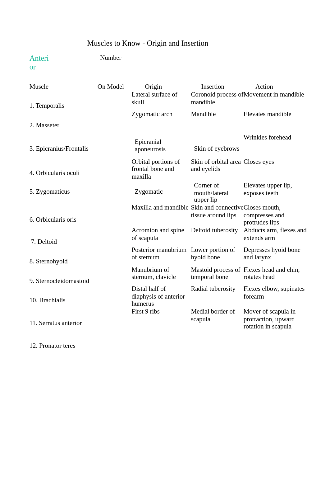 #5 Muscles to Know Student Version(1) (2)-converted.docx_d7ipib0ihmu_page1