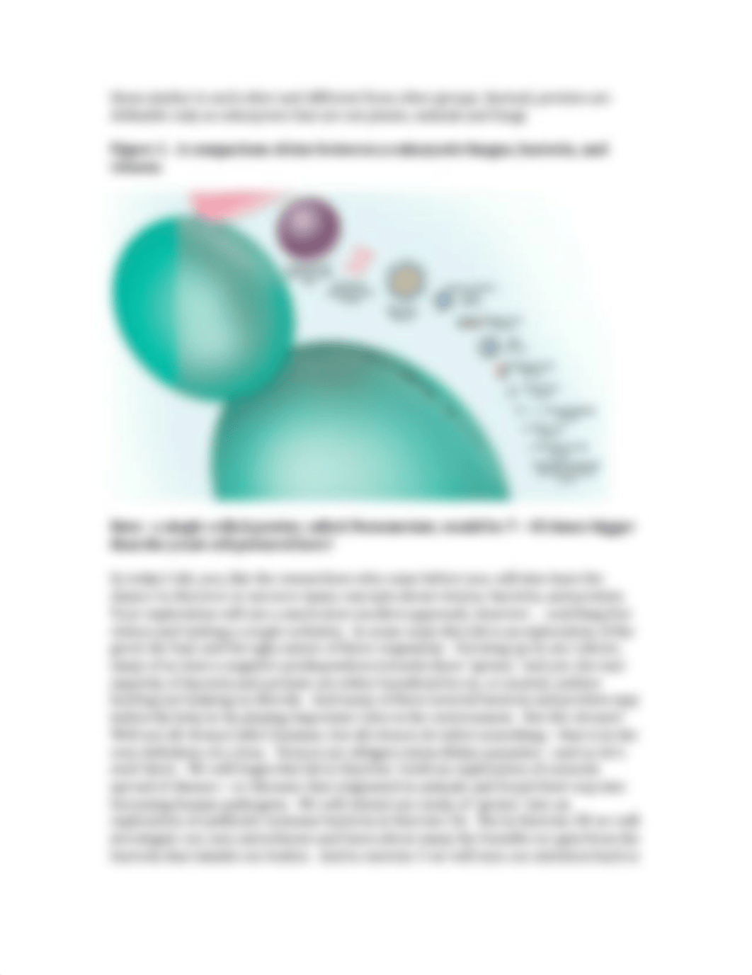 BI101 S'20 Lab 7 In seach of an understanding of small things-viruses, bacteria, and protists -1 (2)_d7iq0r5s7yx_page2