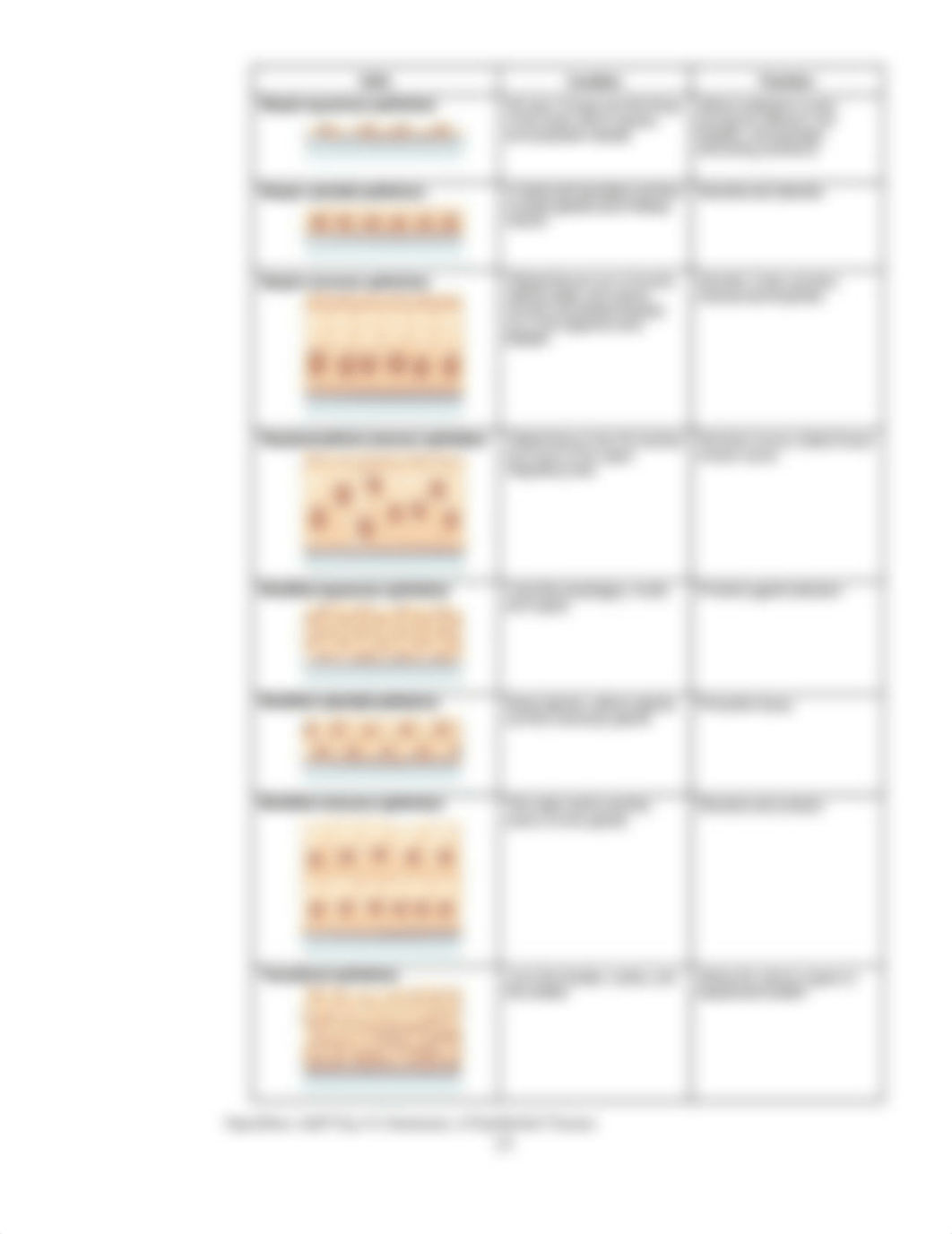 AP1-Lab_2-Tissues-FA2020.docx_d7itnpvtztg_page4