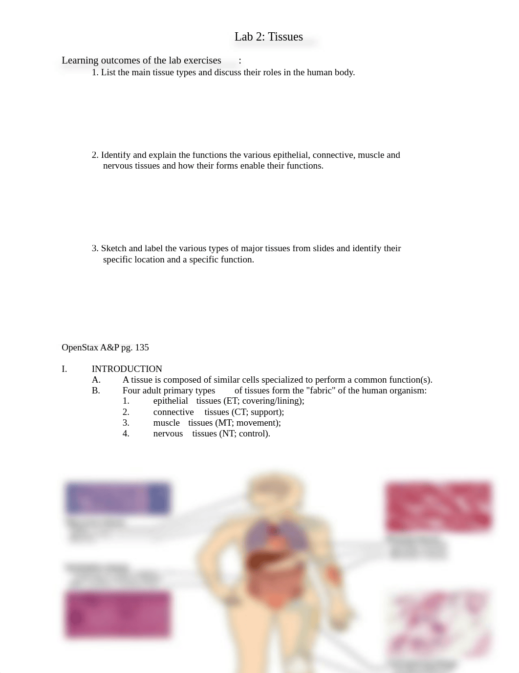 AP1-Lab_2-Tissues-FA2020.docx_d7itnpvtztg_page1