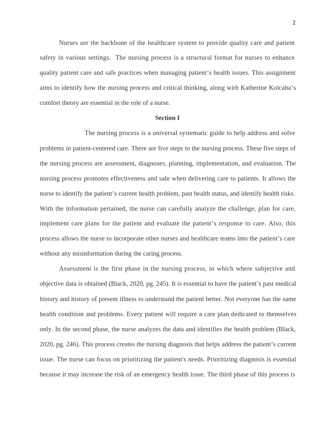 NURS 215 - Nursing Process Paper.docx_d7ivnvuwatq_page2