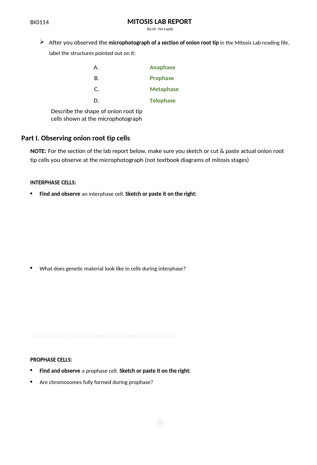 MITOSIS Lab.docx_d7iwqor72pi_page1