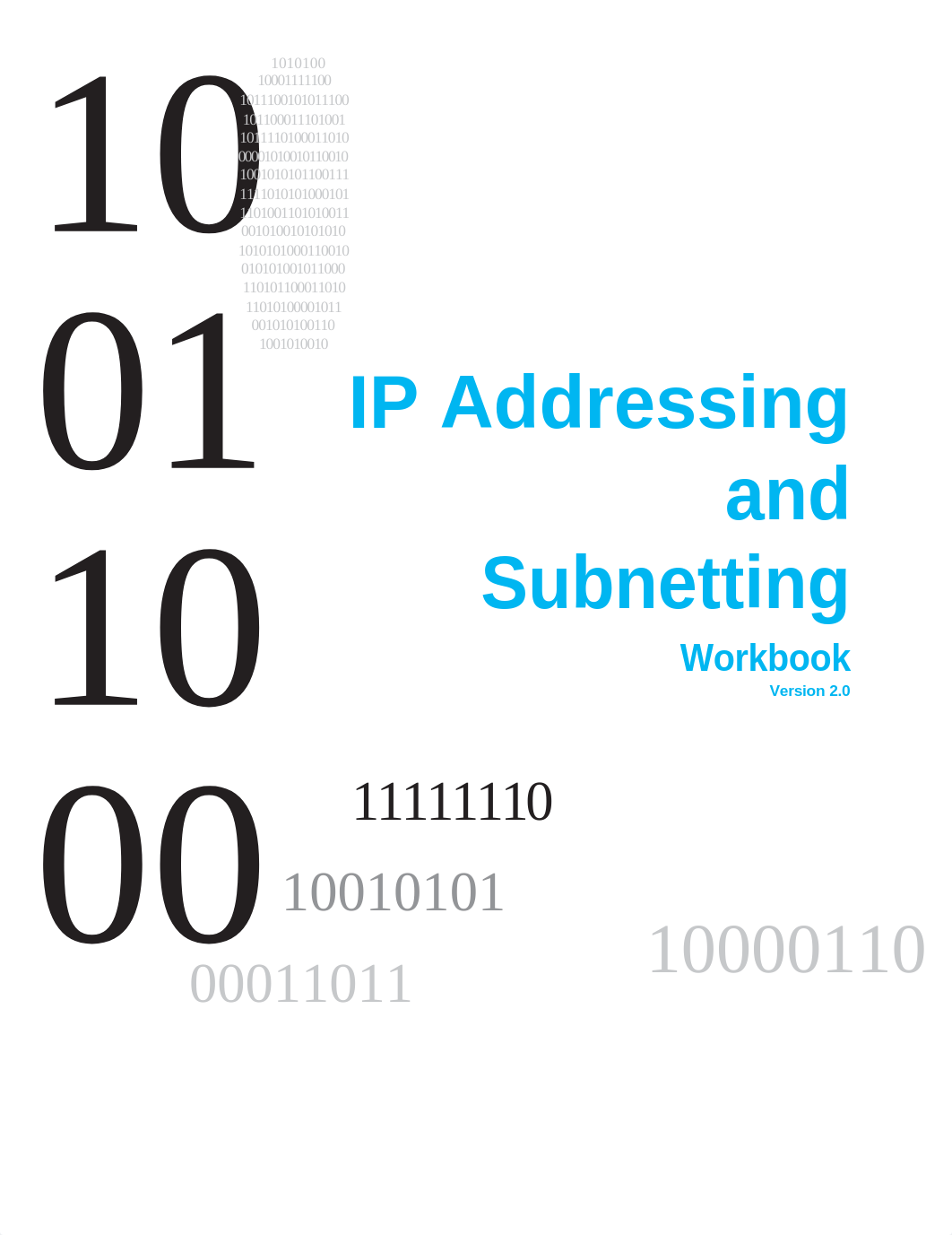 Ip Addressing and Subnetting Workbook - Week 3 HW_d7iz5ss1h2z_page1