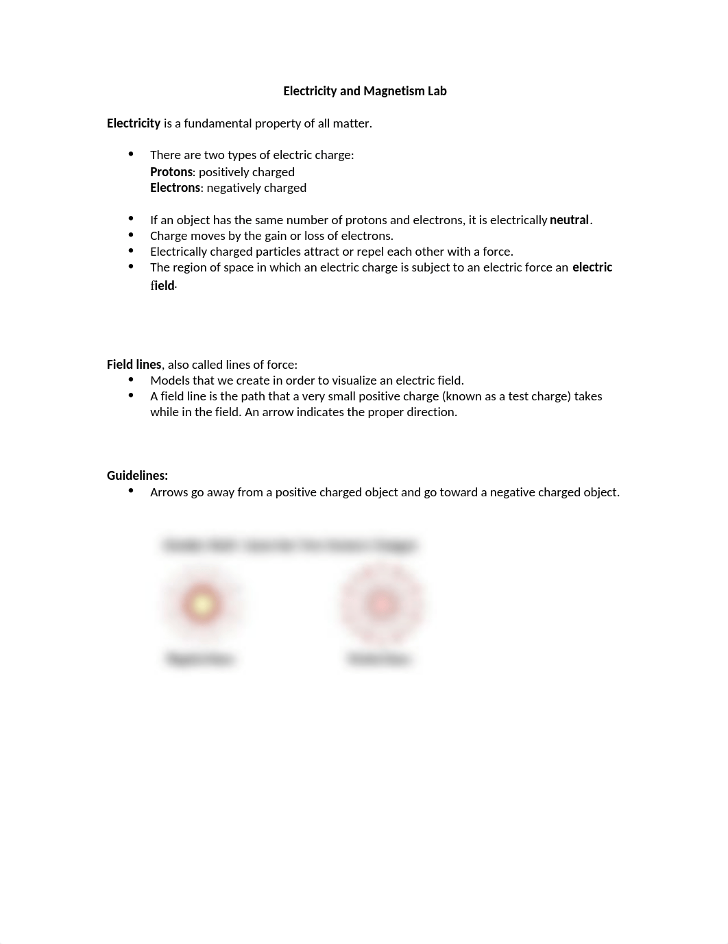 Electricity and Magnetism Lab.docx_d7j2051x3xn_page1