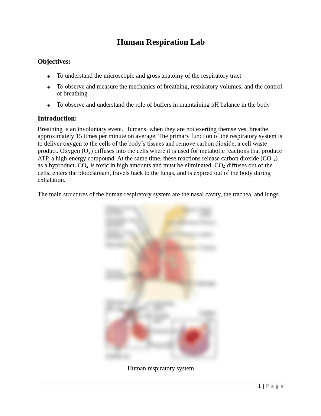 Lab_7_-_Respiratory_system.pdf_d7j681qempl_page1