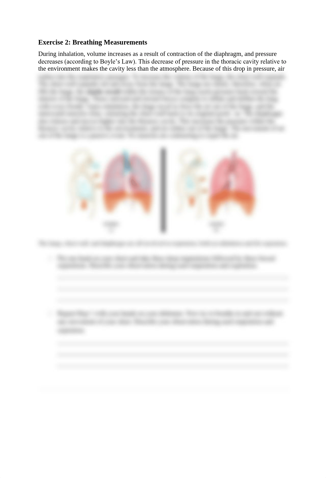 Lab_7_-_Respiratory_system.pdf_d7j681qempl_page3