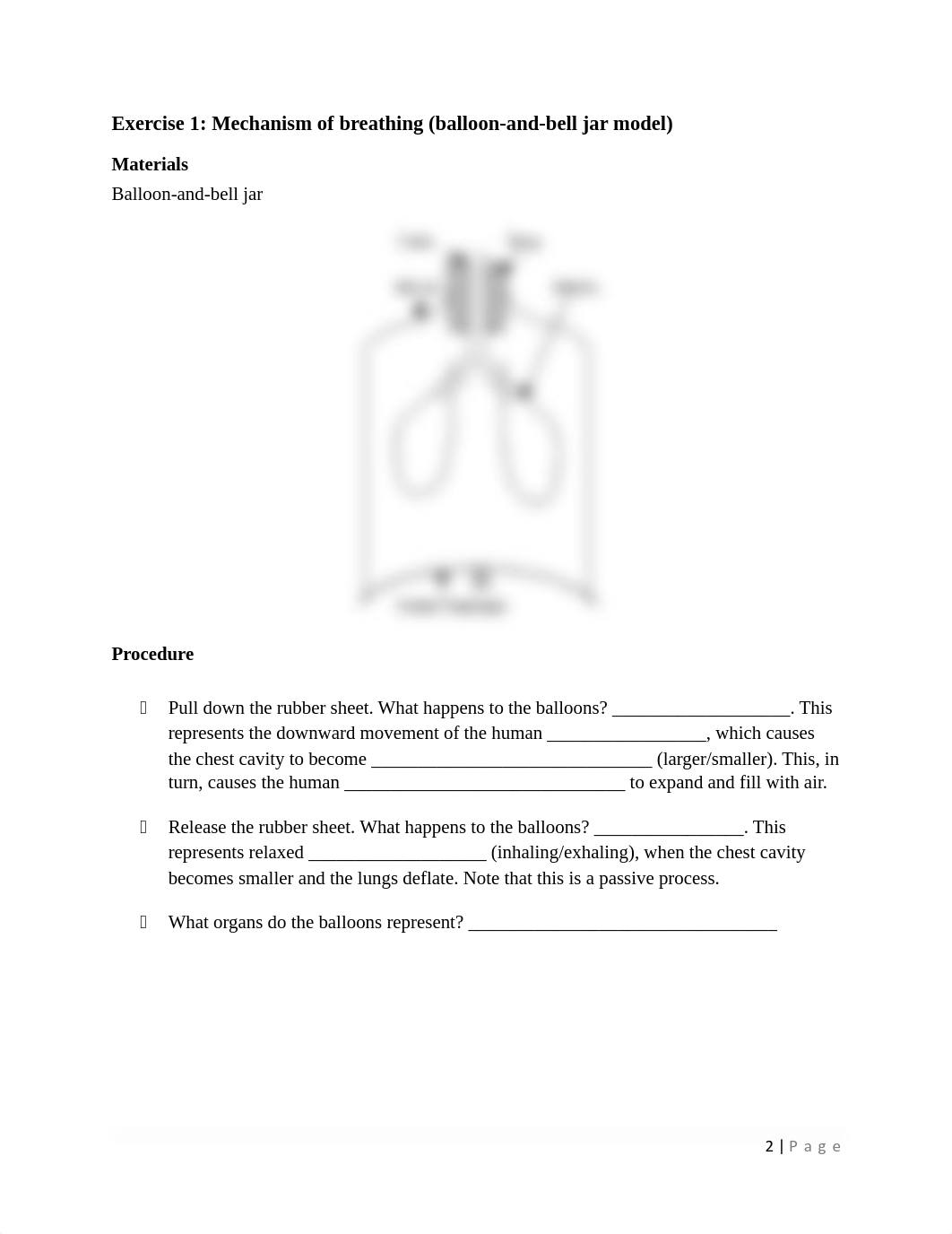 Lab_7_-_Respiratory_system.pdf_d7j681qempl_page2