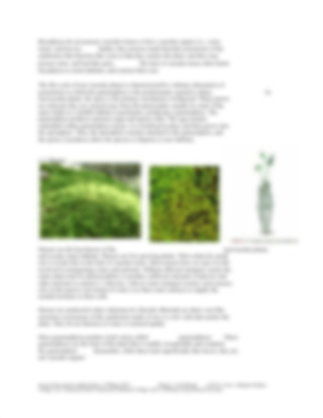 Lab 5 Non-Vascular Plants and Seedless Vascular Plants.docx_d7j6kzned4g_page3