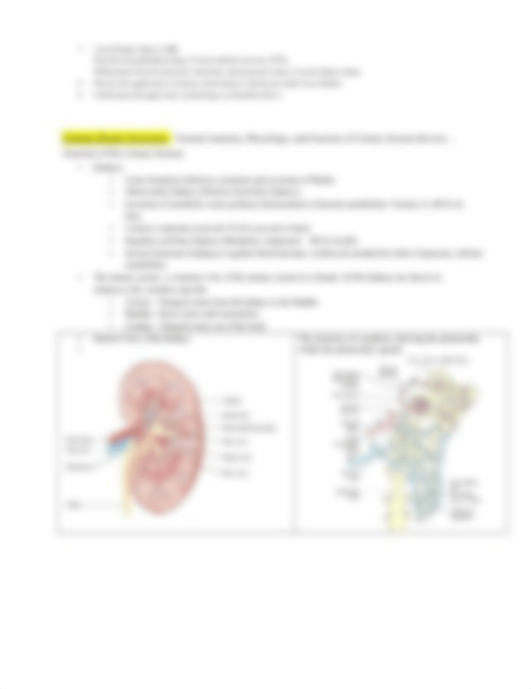 CH. 30 alterations of Renal and urinary tract functions_d7j8fkd7u4l_page2