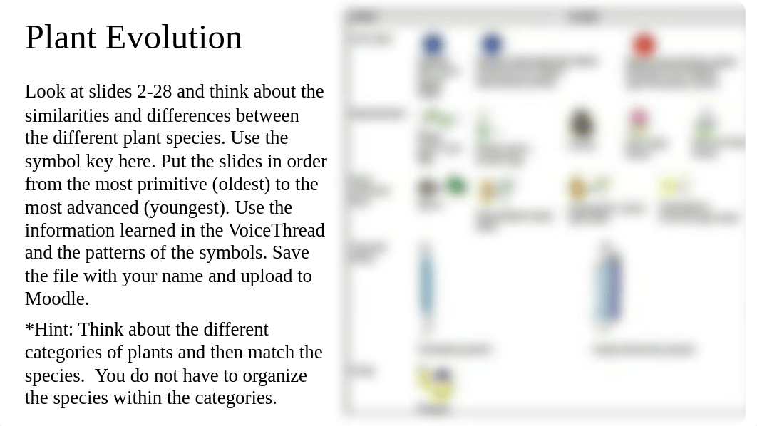 Plant Groups Exercise comp.pptx_d7jair2he4q_page1