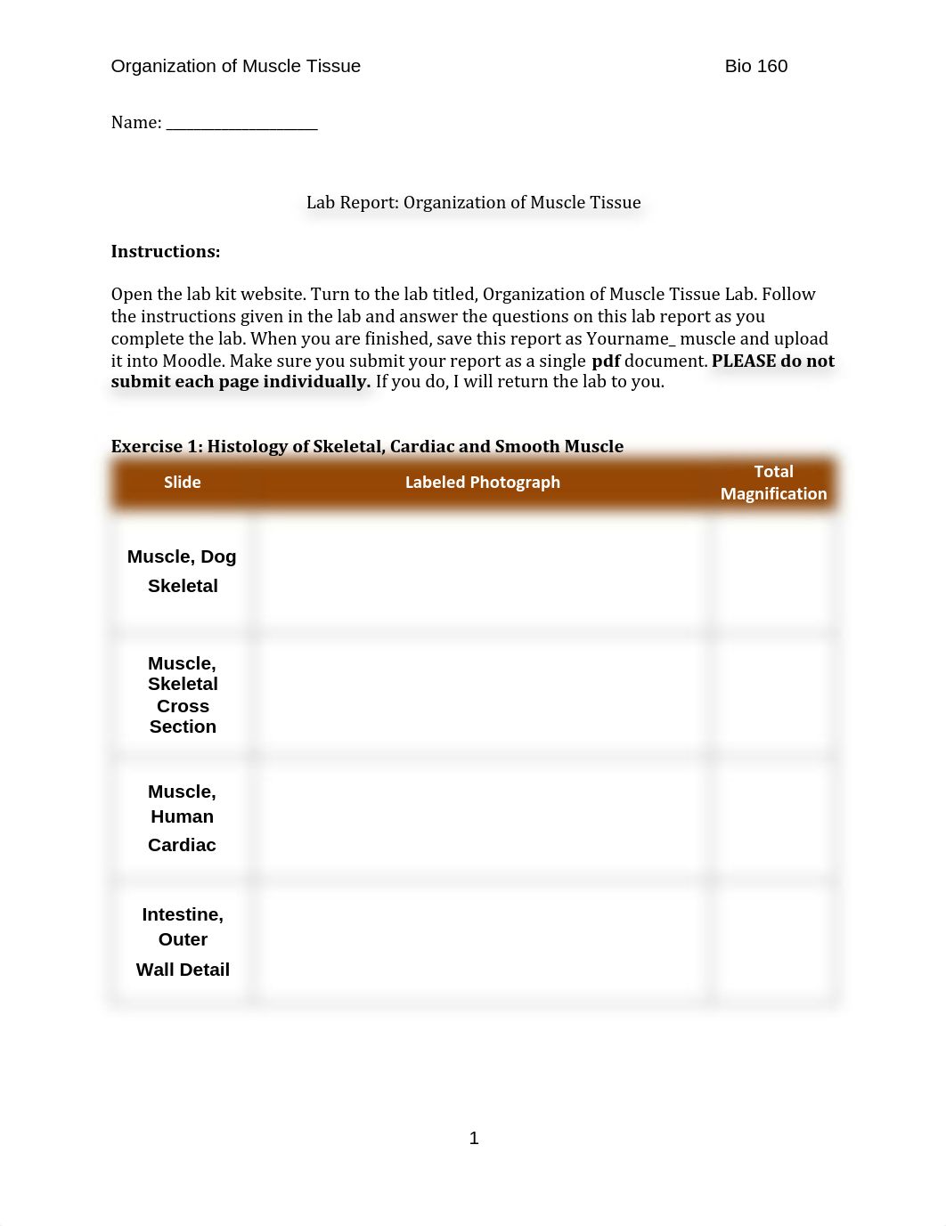 Organization_of_Muscle_Tissue_lab_report_2014_d7jmexot664_page1